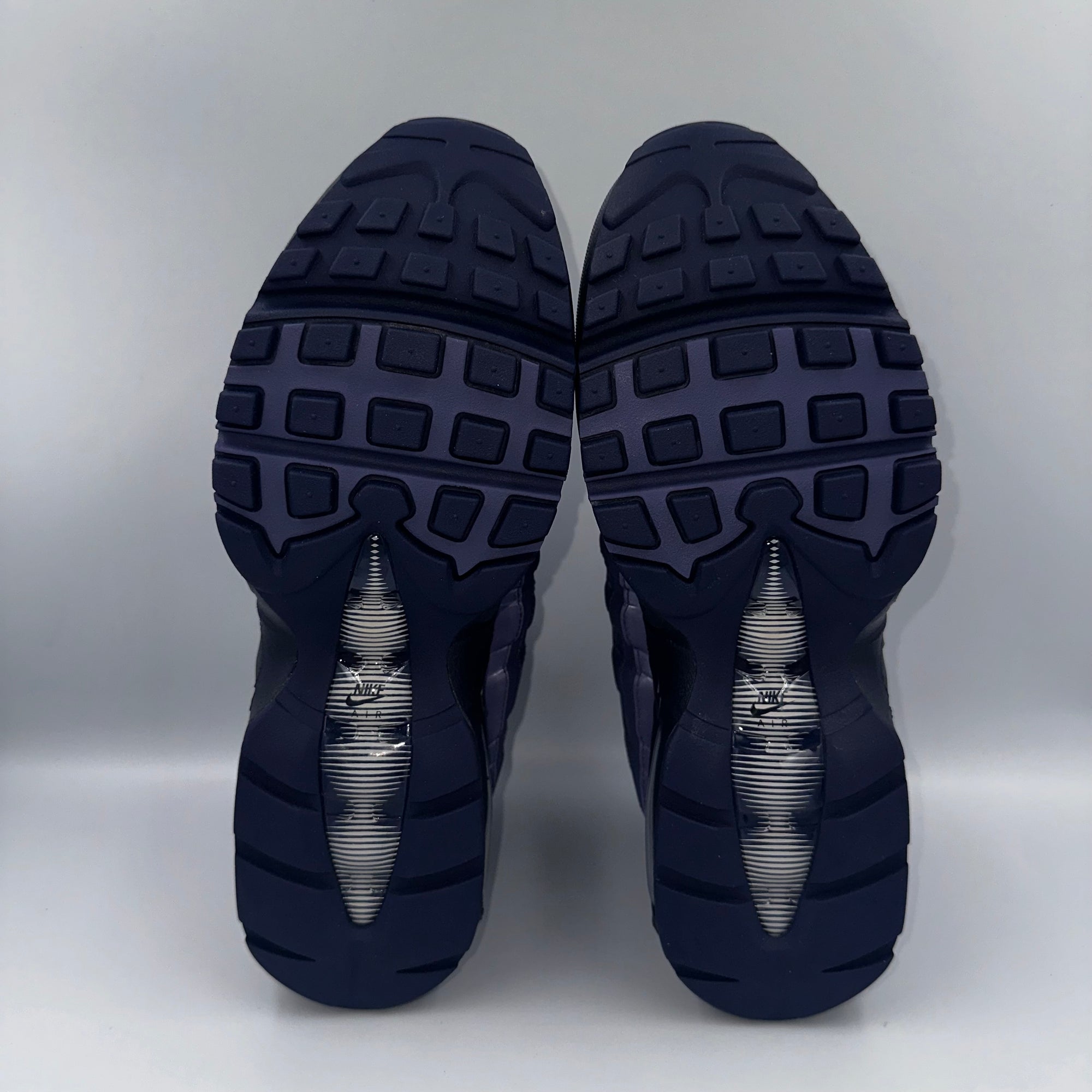 Nike Air Max 95 Sanded Purple / Wolf Grey