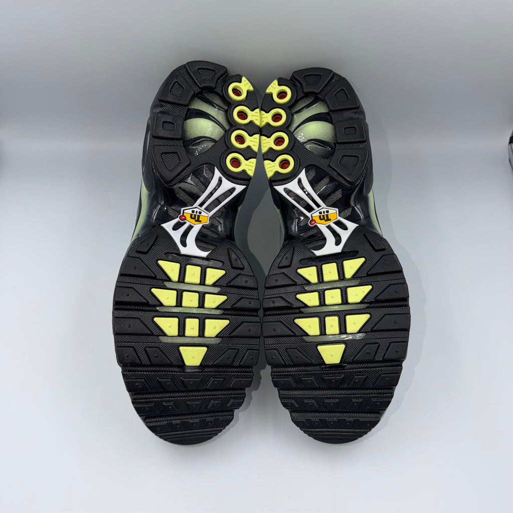 Nike Air Max Plus TN Cool Grey / Light Liquid Lime